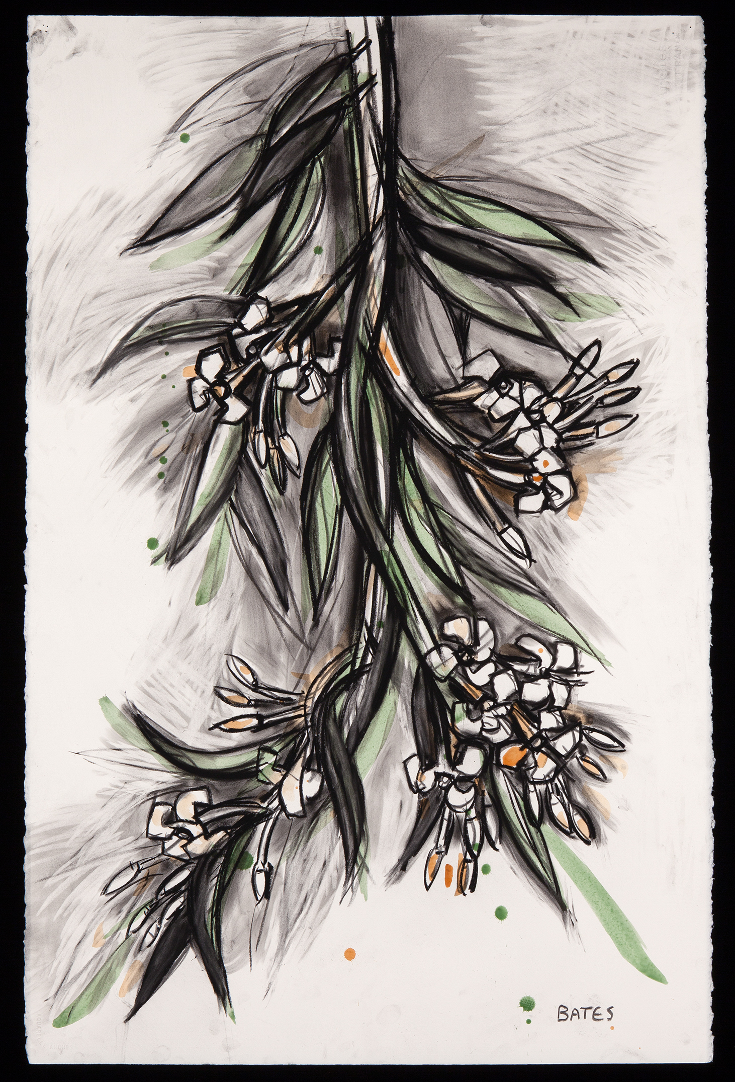 David Bates Oleander II, 2012 Paint and charcoal on paper 41h x 26w in