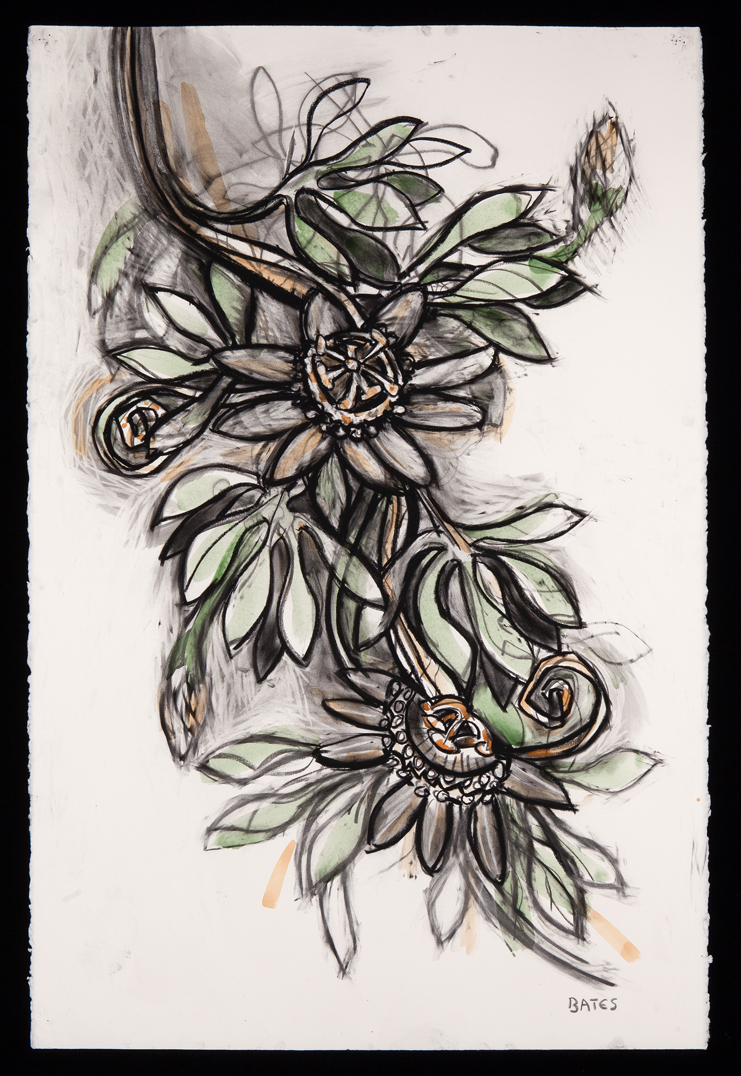 David Bates Passion Flowers, 2012 Paint and charcoal on paper 41h x 26w in