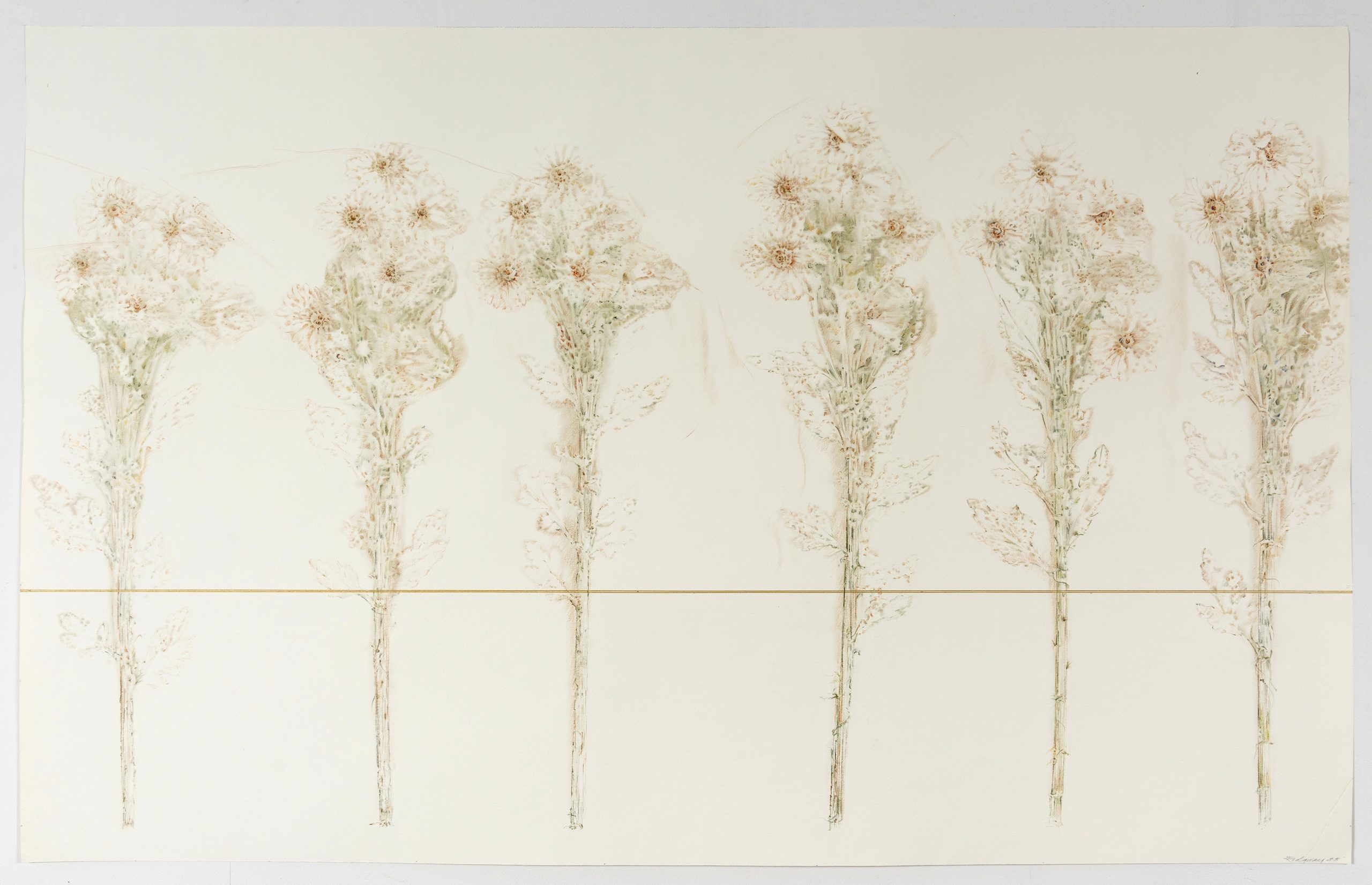 Linda Ridgway - Haze of the Morning Light, 2025