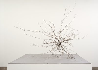 Roxy Paine