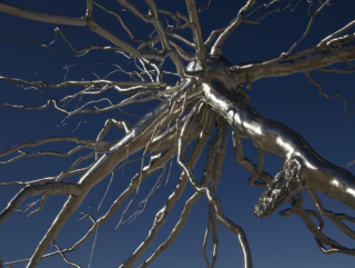 Roxy Paine