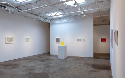Butt Johnson: Drawing Fast and Slow | Exhibition Tour