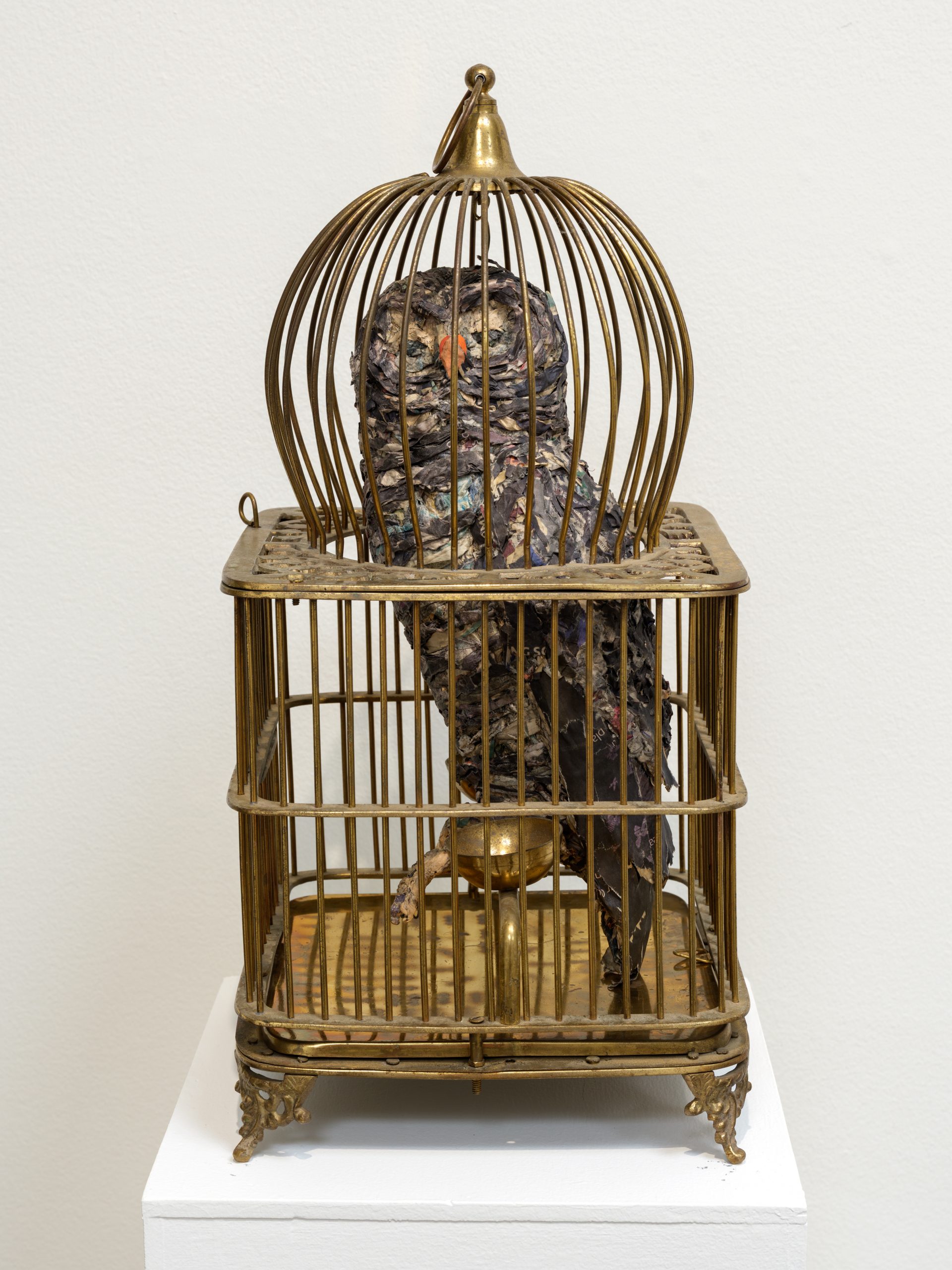 Sedrick Huckaby Rashad - Black-banded Owl, 2022/2025