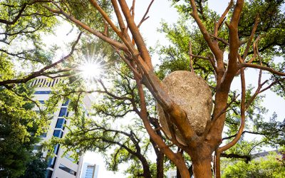 Where art meets science