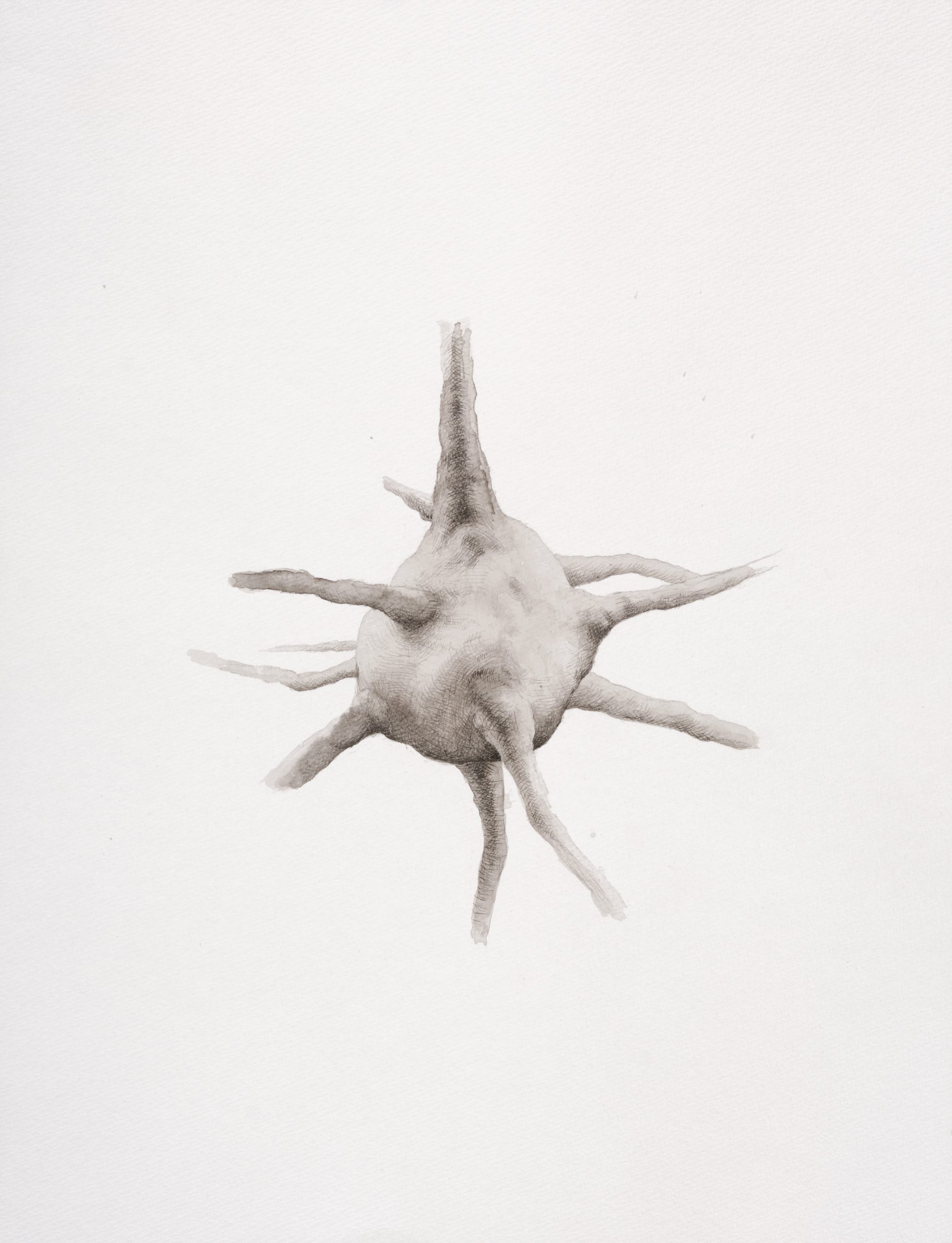 Study for Overgrown Neuron no. 5, 2025